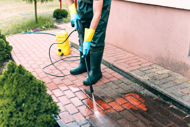 Best Graffiti Removal  in Eustis, FL