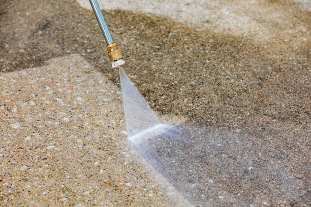 Best Fleet Vehicle Washing  in Eustis, FL