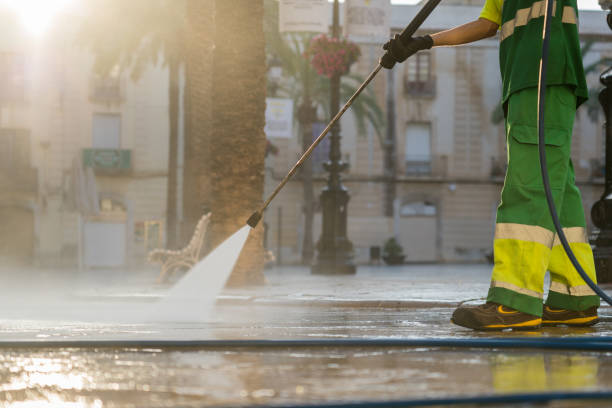 Best Driveway Pressure Washing  in Eustis, FL